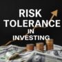 Risk Tolerance in Investing