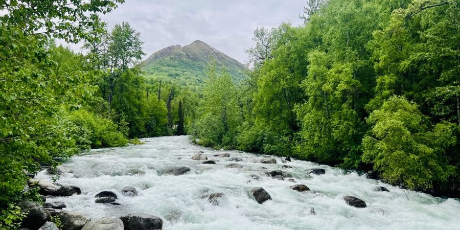 River Stream River Stream